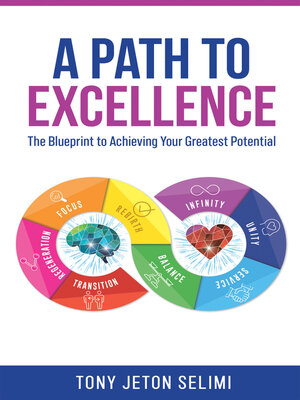 cover image of A Path to Excellence